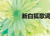新白狐歌词曲（新白狐歌词）