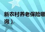 新农村养老保险哪里查询（新农村养老保险查询）