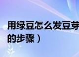 用绿豆怎么发豆芽的过程（绿豆芽怎么发豆芽的步骤）