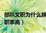 部队文职为什么辞职的多（部队文职为什么离职率高）