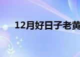12月好日子老黄历查询（12月好日子）