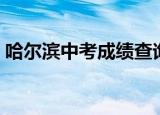 哈尔滨中考成绩查询（哈尔滨中考成绩查询）