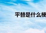 平替是什么梗（平替是什么意思）