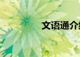 文语通介绍（文语通2 0）