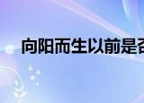 向阳而生以前是否播过（向阳而生停播）