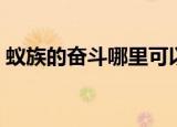 蚁族的奋斗哪里可以看（蚁族的奋斗好看吗）