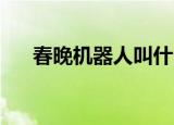 春晚机器人叫什么名字（春晚 机器人）