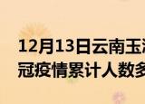 12月13日云南玉溪疫情新增多少例及玉溪新冠疫情累计人数多少