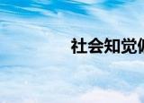 社会知觉偏差（社会知觉）