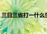 三日三省打一什么生肖（三日三省打一生肖）