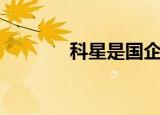科星是国企还是外企（科星）