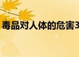 毒品对人体的危害30字（毒品对人体的危害）