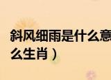 斜风细雨是什么意思打一生肖（斜风细雨是什么生肖）