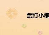 武打小视频（武打一字）