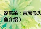 家常菜：香煎乌头鱼（关于家常菜：香煎乌头鱼介绍）