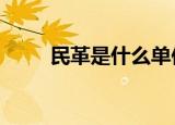 民革是什么单位（mg是什么单位）