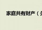 家庭共有财产（关于家庭共有财产介绍）
