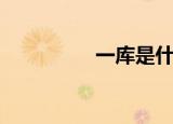 一库是什么意思（一库）
