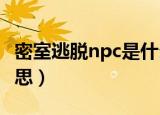 密室逃脱npc是什么（密室逃脱NPC是什么意思）