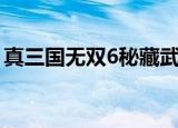 真三国无双6秘藏武器（真三国无双6武器印）
