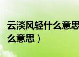 云淡风轻什么意思有点看不明白（云淡风轻什么意思）