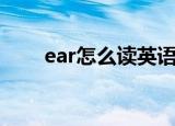 ear怎么读英语怎么说（ear怎么读）