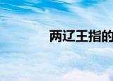 两辽王指的是什么（两辽王）