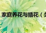 家庭养花与插花（关于家庭养花与插花介绍）