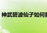 神武碧波仙子如何获得（神武碧波仙子饰物）