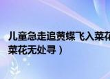 儿童急走追黄蝶飞入菜花无处寻翻译（儿童急走追黄蝶 飞入菜花无处寻）