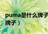 puma是什么牌子的鞋多少钱（puma是什么牌子）