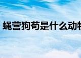蝇营狗苟是什么动物（蝇营狗苟是什么意思）