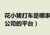 花小猪打车是哪家公司的（花小猪打车是哪家公司的平台）