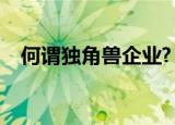 何谓独角兽企业?（独角兽企业什么意思）