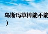 乌斯玛草棒能不能生发（乌斯玛草棒能生发吗）