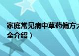 家庭常见病中草药偏方大全（关于家庭常见病中草药偏方大全介绍）