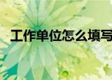 工作单位怎么填写务农（工作单位怎么填）