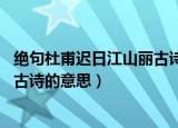 绝句杜甫迟日江山丽古诗的意思20字（绝句杜甫迟日江山丽古诗的意思）