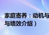 家庭寄养：动机与绩效（关于家庭寄养：动机与绩效介绍）