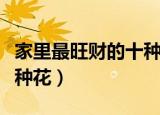 家里最旺财的十种花虎皮兰（家里最旺财的十种花）