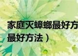 家庭灭蟑螂最好方法怎样最有效（家庭灭蟑螂最好方法）