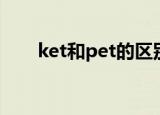 ket和pet的区别（ket和pet的区别）