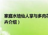 家庭水培仙人掌与多肉花卉（关于家庭水培仙人掌与多肉花卉介绍）