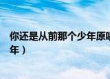 你还是从前那个少年原唱歌词（少年歌词我还是从前那个少年）