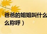 爸爸的姐姐叫什么称呼官方（爸爸的姐姐叫什么称呼）