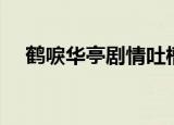鹤唳华亭剧情吐槽（鹤唳华亭剧情介绍）