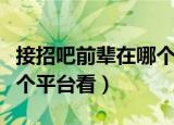 接招吧前辈在哪个频道播出（接招吧前辈在哪个平台看）