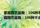 家庭园艺盆栽：106种不会失败的小空间花园方案（关于家庭园艺盆栽：106种不会失败的小空间花园方案介绍）