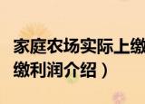 家庭农场实际上缴利润（关于家庭农场实际上缴利润介绍）