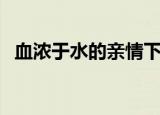 血浓于水的亲情下一句（血浓于水的亲情）